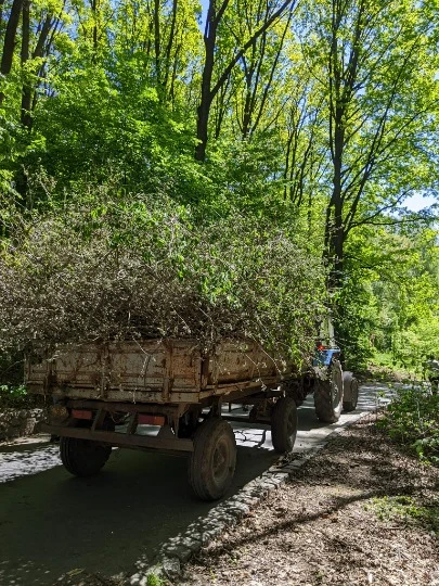 прибрали місцевий парк Софіївка