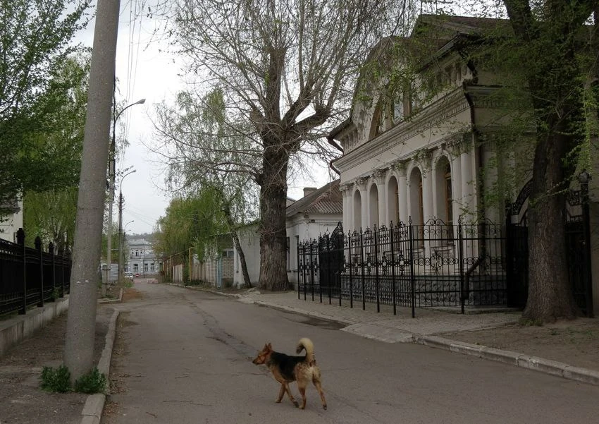 Cambrod, 2016/photo from occupation publics