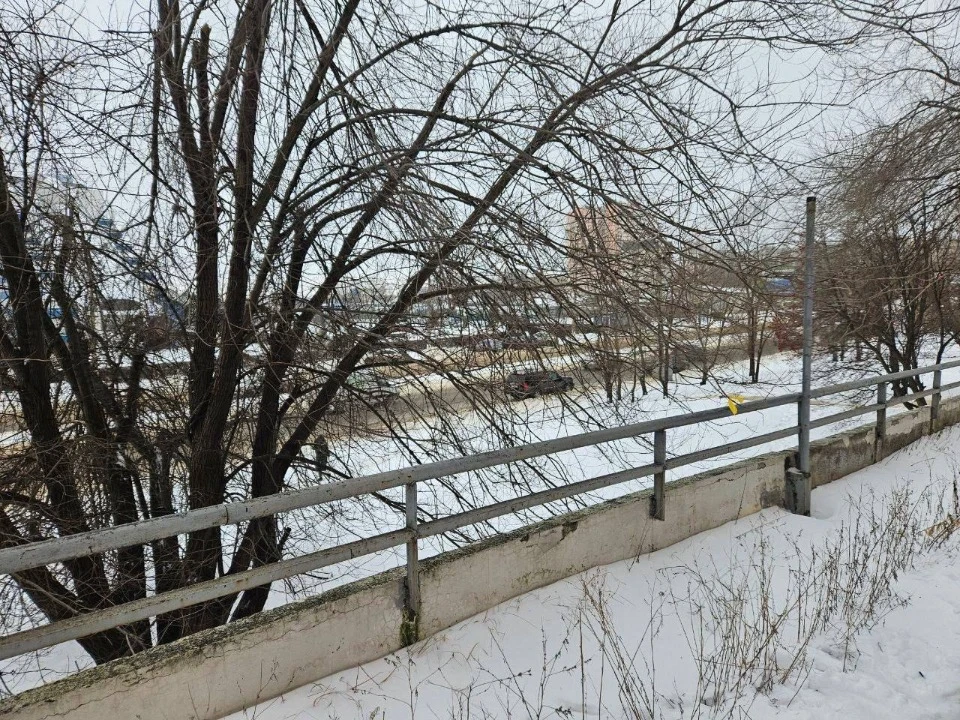 жовта стрічка луганськ