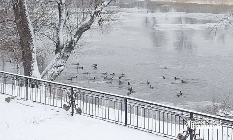 Святогірськ