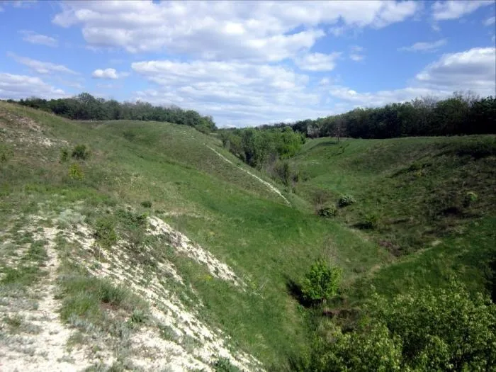 Sucha balka in the vicinity of Luhansk