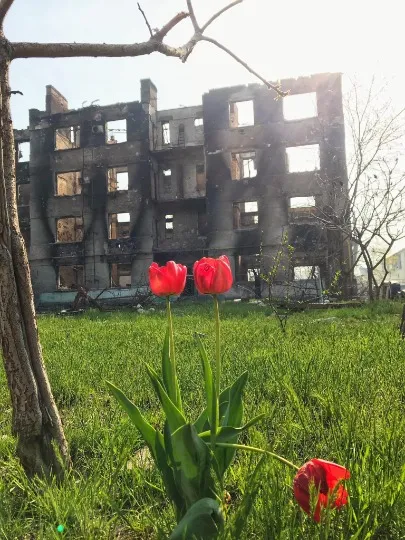 Стан дому Олени Шалашної наразі