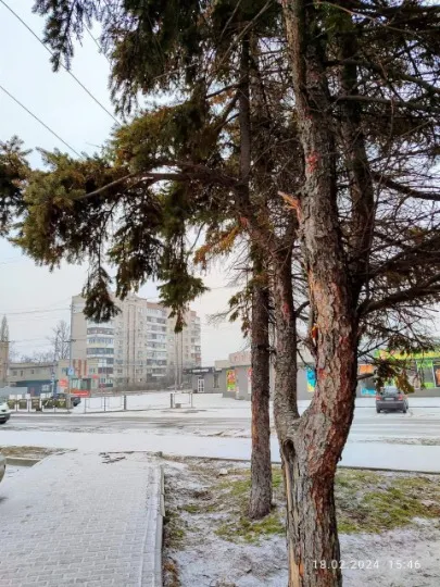 Слов'янськ