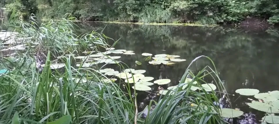 the Derkul River in Luhansk oblast