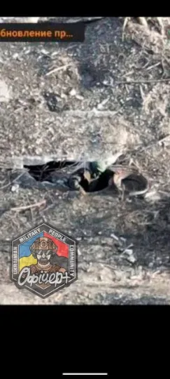 Білогорівка