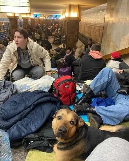 Волонтери Rubikus допомагають українцям врятуватися від війни