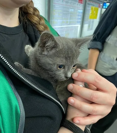 Волонтери Rubikus допомагають українцям врятуватися від війни