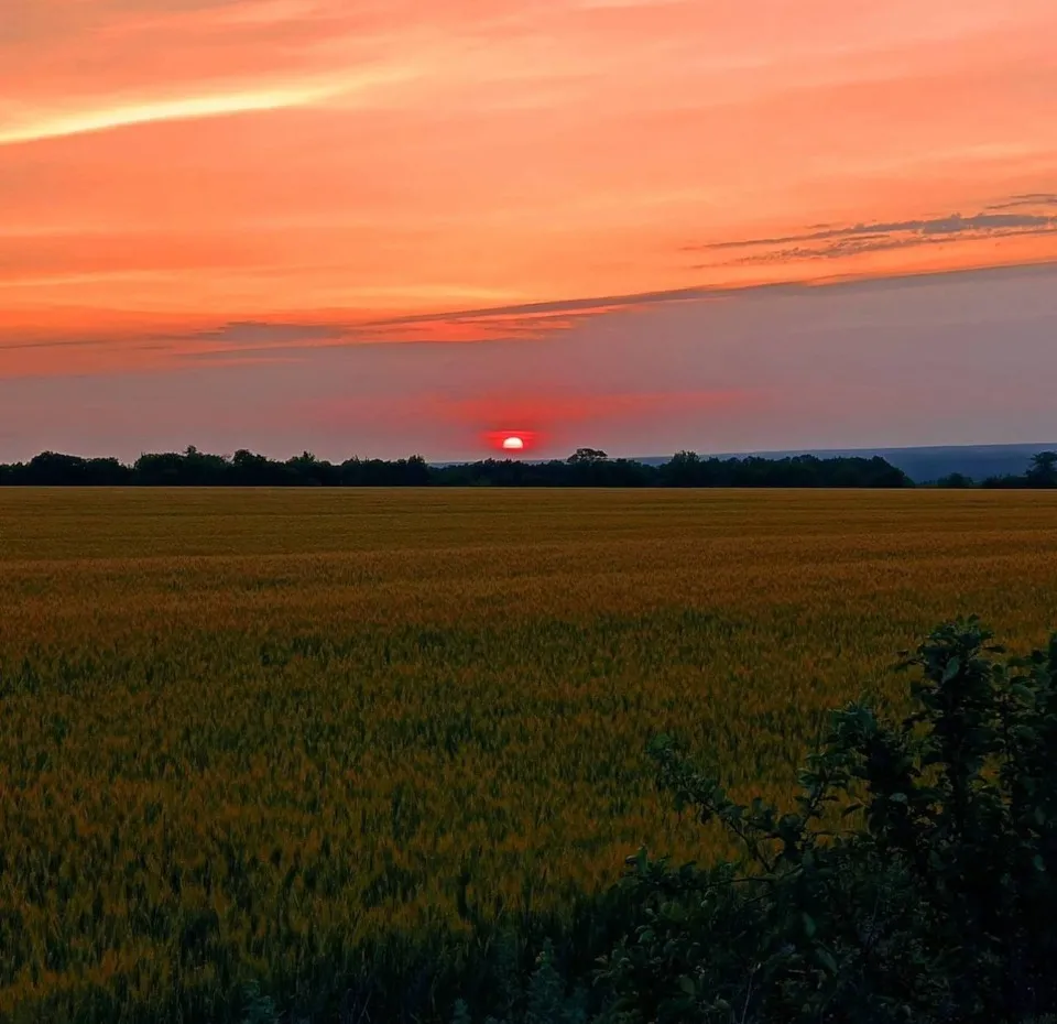 Фото Володимира Дуброва