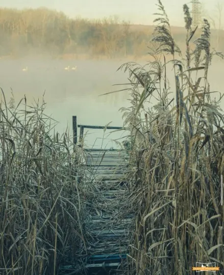 Фото Володимира Дуброва