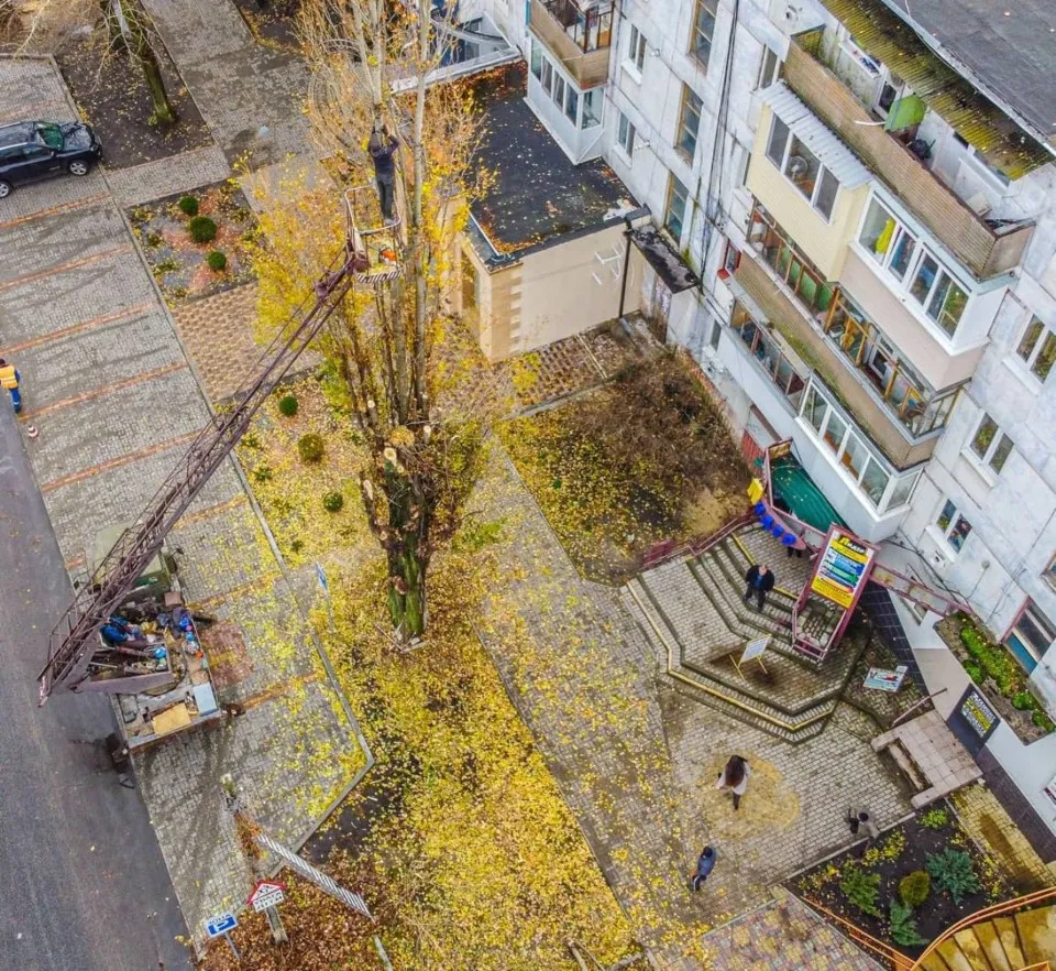 Фото Володимира Дуброва