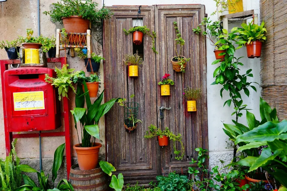 Вертикальне озеленення