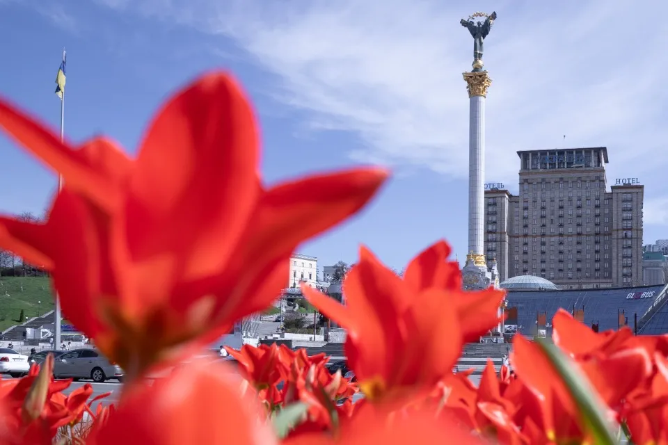 У Києві розквітли тюльпани
