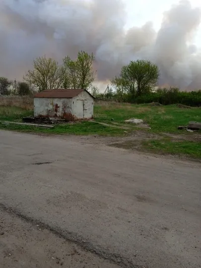 Ліс на Луганщині