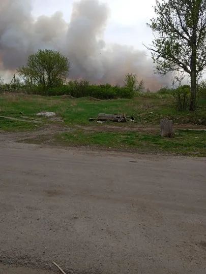 Ліс на Луганщині