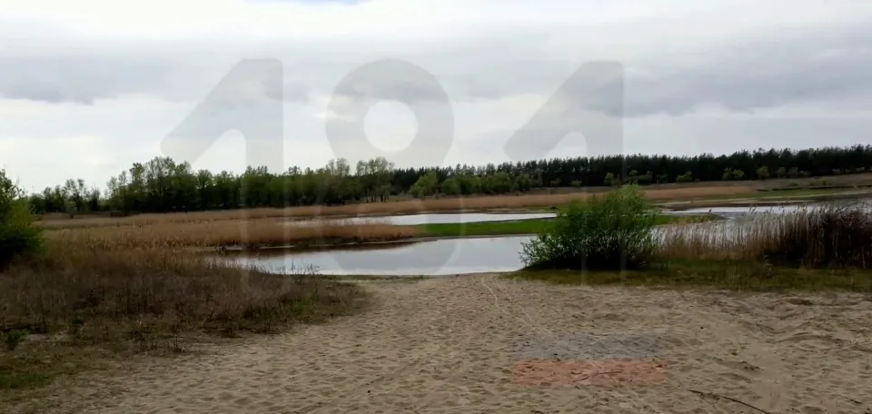 Озеро Чисте в Сєєвродонецьку