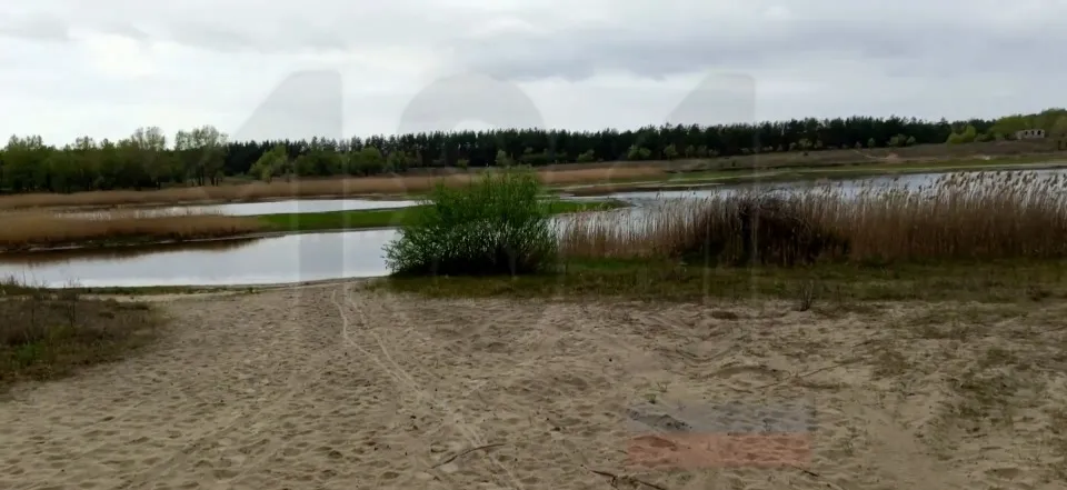 Чисте озеро в Сєвєродонецьку