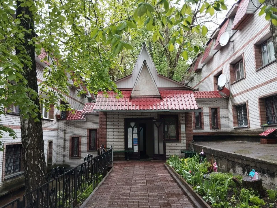 Шелтер лисичан в Києві