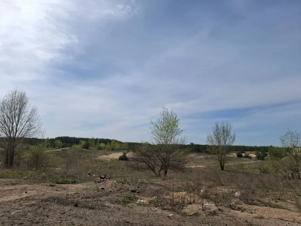 Рубіжне