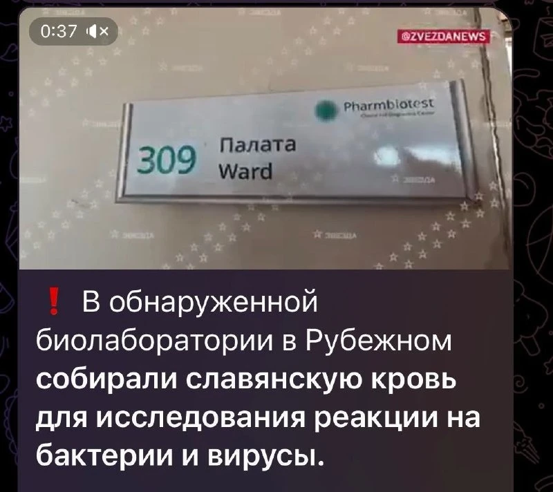 скріншот