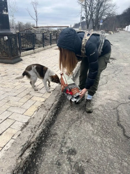 Волонтер