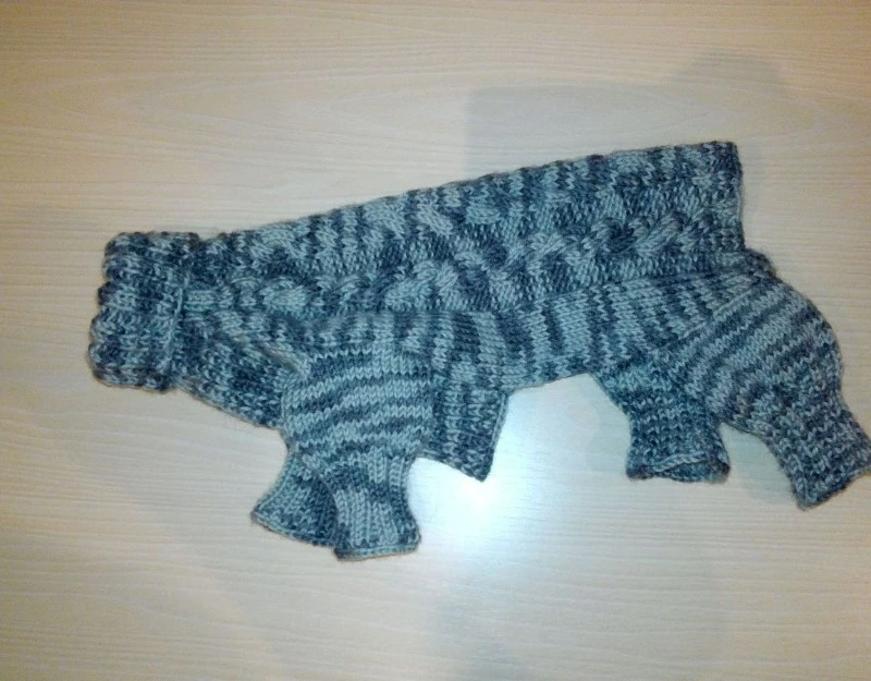 Одяг для тварин