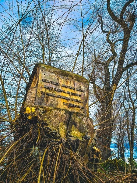 Парк Шевченко 