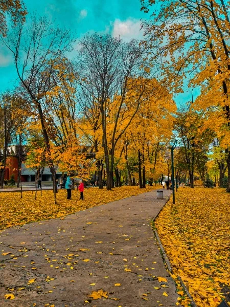 Парк Шевченко 